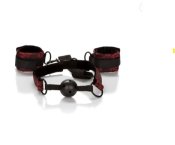 Scandal Breathable Ball Gag W Cuffs