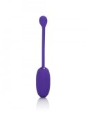 Recharg. Kegel Ball Starter