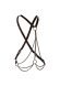 Euphoria Collection Multi Chain Harness